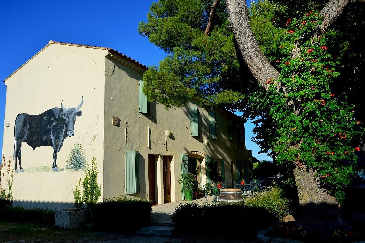 Manade Saint Louis Mas De La Paix Bed & Breakfast โวแวร์ ภายนอก รูปภาพ